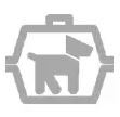 £20 return in a pet carrier
