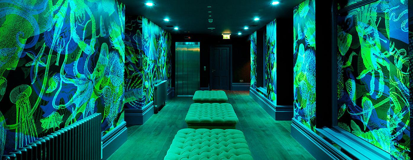 Banjo Restaurant, St. Helier Jersey Dining & Bars