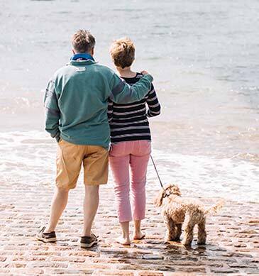 Travelling to Jersey by sea with dogs