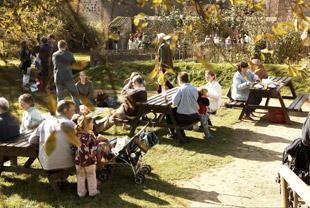 Jersey Cider Festival