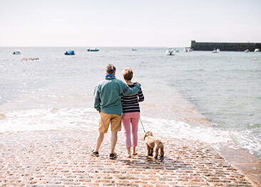 Have a Dog-Friendly Holiday to Jersey